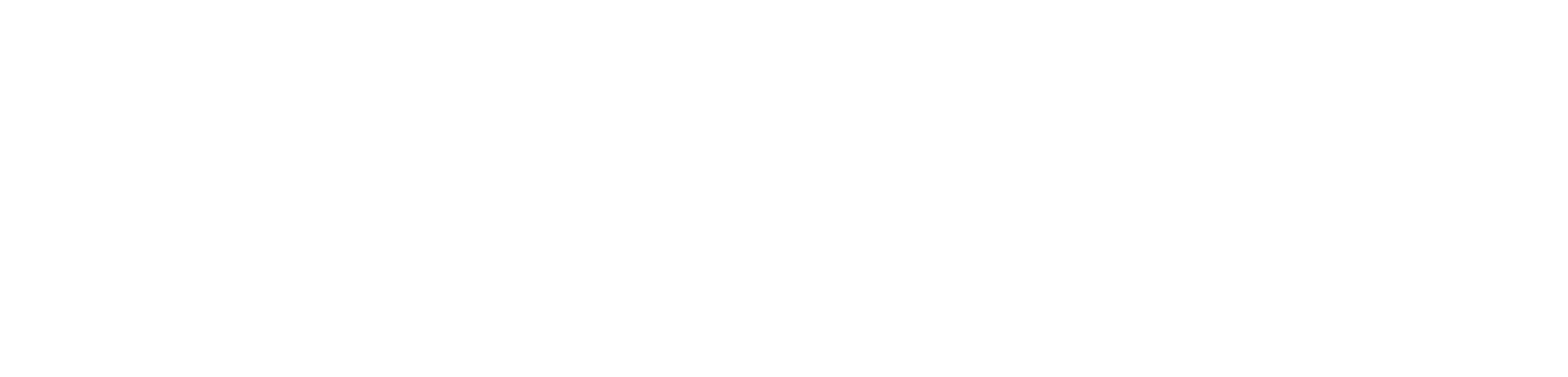 Avada Programmer Logo